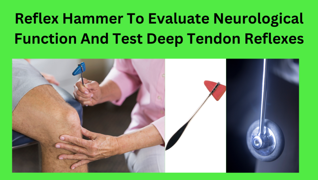 Reflex-Hammer-To-Evaluate-Neurological-Function-And-Test-Deep-Tendon-Reflexes